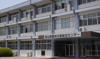 岡山吉備中央町ぶどうピオーネ